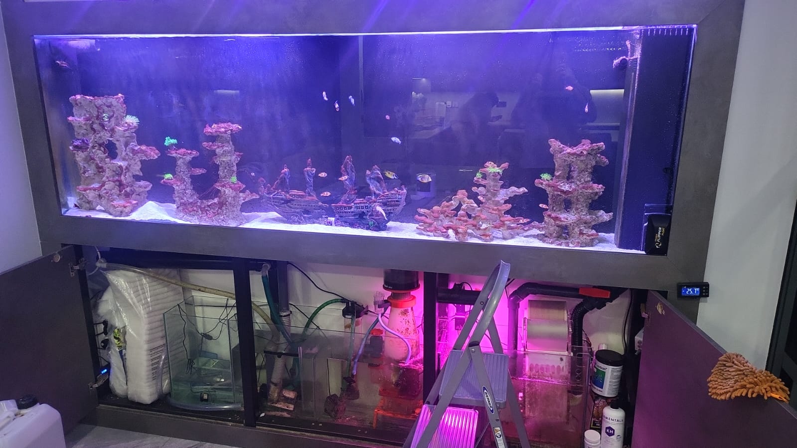 Freshwater aquarium tank setup and installation